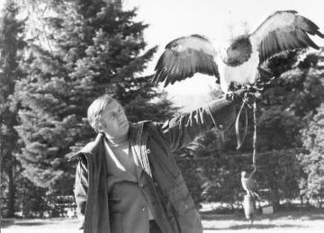Adlerwarte Berlebeck: Greifvogel mit gespreizten Flügeln auf der Hand eines Angestellten