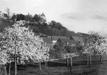 Blühende Obstbaumwiese am Fuße von Burg Calenberg