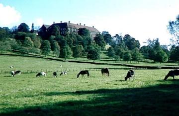 Schloss Cappenberg, Schlosspark und Viehweiden mit Blick auf die Schlossrückfront
