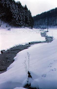 Die winterliche Odeborn bei Girkhausen, 22 km langer Nebenfluss der Eder

