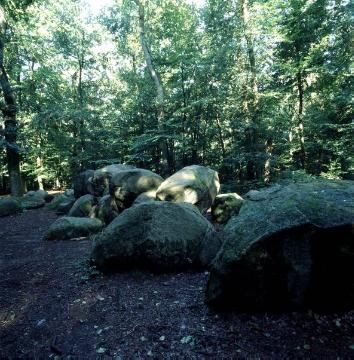 Große Sloopsteine: Größtes Megalithgrab Westfalens - Kollektivgrab, Jungsteinzeit um 2000 v. Chr., ca. 23,5 x 7,5 m, Bodendenkmal