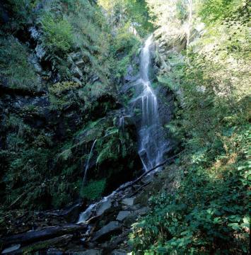 Wasserfall südöstlich Ramsbeck, einziger natürlicher Wasserfall Westfalens und Standortfaktor für die Entwicklung seltener Arten im Naturschutzgebiet Plästerlegge