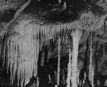 Die "Kerzenhalle" - Blick in die Attendorner Tropfsteinhöhle (Atta-Höhle), entdeckt 1907, Naturdenkmal