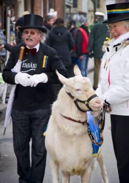 Die Maskottchen des Tages: Ziegenbocksmontag" in Münster-Wolbeck, traditioneller Karnevalsumzug mit Ziegenböcken in der Woche vor Rosenmontag