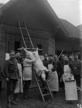 Erster Weltkrieg, Elsass: Abteilung des Landsturm Inf. Batl. Siegen nach einer Schweineschlachtung auf einem Hof in Oberschäffolsheim