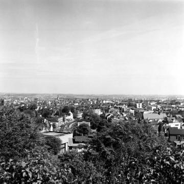 Blick von der Burg Sparrenberg auf die Stadt
