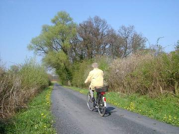 Fahrradtour im Frühling: Auf dem Weg zum "Scheddebrock"