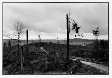 Orkanschäden nach "Kyrill" am 18./19.01.2007: Entwaldete Kammregion auf dem Rhonardberg, Forstamt Olpe