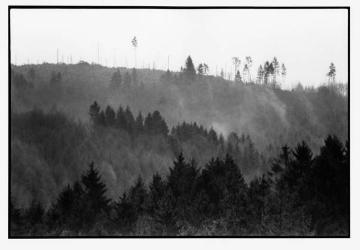Orkanschäden nach "Kyrill" am 18./19.01.2007: Blick auf den Rhonardberg mit entwaldetem Kamm, Forstamt Olpe