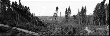 Orkanschäden nach "Kyrill" am 18./19.01.2007: Entwaldete Kammregion auf dem Rhonardberg mit freigelegter Sicht auf Olpe, Forstamt Olpe