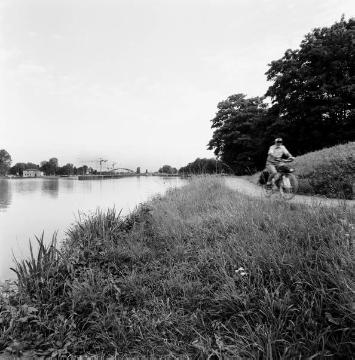 Freizeitrevier Dortmund-Ems-Kanal: Radeln auf der östlichen Uferpromenade, Abschnitt Höhe Schleuse Münster, Blick nach Norden