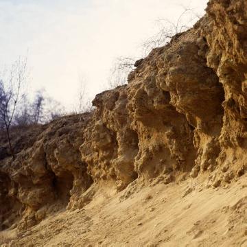 Der Doberg, 30 m hohe Lagerstätte mariner Sedimente und Meeresfossilien aus dem Oligozän (vor rd. 23-34 Mio. Jahren), Naturdenkmal und Naturschutzgebiet