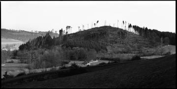 Orkanschäden nach "Kyrill" am 18./19.01.2007: Windbruchareal auf dem "Kleinen Lumberg" bei Bremke, Blick aus Richtung Hardt (Forstamt Schmallenberg)