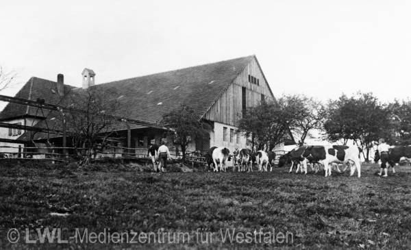 08_451 Slg. Schäfer – Westfalen und Vest Recklinghausen um 1900-1935