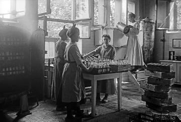 Frauenarbeit im 1. Weltkrieg: In der Abfüllküche der Molkerei Recklinghausen