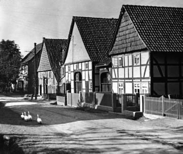 Fachwerkbauten im östlichen Wesergebirge: Ackerbürgerhäuser am Dorfrand von Hessisch-Oldendorf, Ortsteil Rohden (Niedersachen). Undatiert, um 1938?