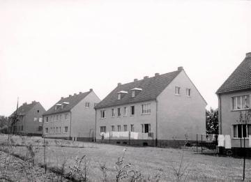 Herne, Flottmannstraße 41-45: Drei Wohnblöcke der Wohnstätten-GmbH Herne mit insgesamt 14 Mietwohnungen, errichtet 1953-1954, gartenseitige Ansicht