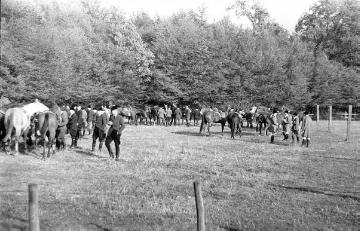 Reiterverein Nottuln - Zusammenkunft vor einer Fuchsjagd (?), undatiert, um 1948