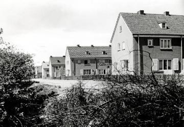 Münster-Mecklenbeck, Reihenhaussiedlung an der Mecklenbecker Straße, 1955/1956