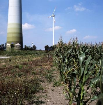 Windpark Dülmen-Rorup