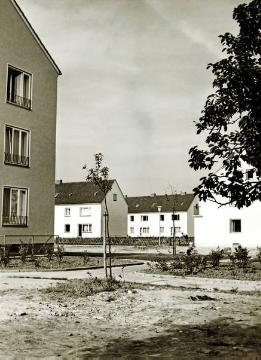 Bielefeld, ohne Straßenangabe: Reihenhaussiedlung mit über 150 Wohnungen, undatiert, um 1956?