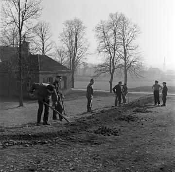 Provinzial-Heilanstalt Lengerich, 1950 - Beschäftigungstherapie: Patienten bei Bauarbeiten zur Neugestaltung des Klinikgeländes in den 1950er Jahren.