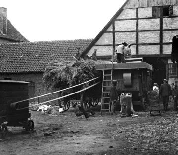 Korndreschen mit der Dreschmaschine auf Gut Vellinghausen