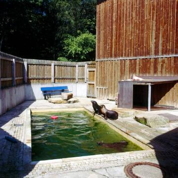 Delphinarium im Allwetterzoo Münster: Rückzugsbecken der Seelöwen im Außenbereich - Eröffnung des Delphinariums 1974, geplante Schließung Ende 2012