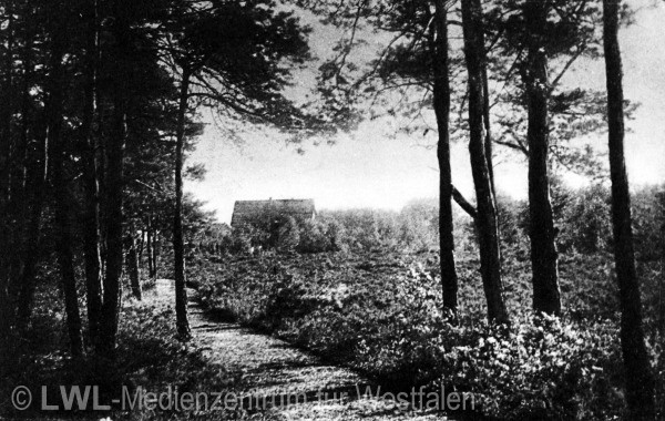 03_3973 Aus privaten Bildsammlungen: Slg. Niemöller - Gütersloh zur Zeit des Ersten Weltkrieges