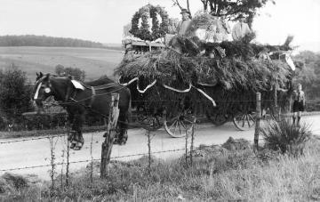 Erntedankwagen, Schmallenberger Sauerland 1936