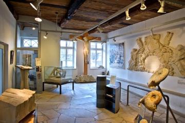Dauerausstellung im Baumberger Sandstein-Museum, Havixbeck: Exponate aus der Paläontologie und Geologie