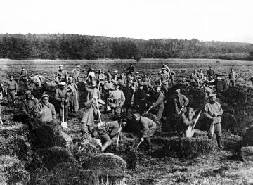 Der Erste Weltkrieg an der "Heimatfront": Kriegsgefangene bei der Zwangsarbeit in der Landwirtschaft
