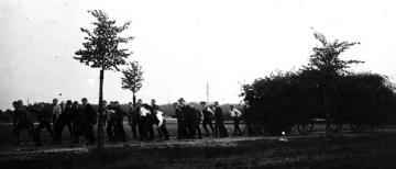 Herbstbrauch in Gütersloh - das Oktoberfeuer: Gütersloher Gymnasiasten beim Transport des gesammelten Holzes zum Feuerplatz, 1913