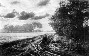 Bauernhof in der Gütersloher Heide (bei Kattenstroth?), undatiert, um 1914?