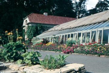 Botanischer Garten,Schlosspark, 1960er Jahre: Das Exotenhaus des 1803-1815 angelegten Gartens