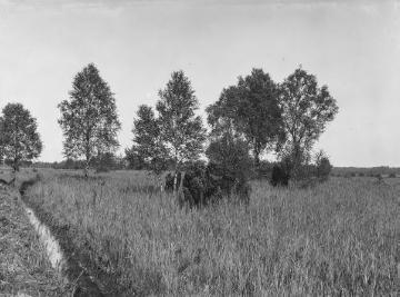 Das Deutener Moor, 1925.