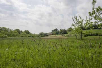 Tecklenburger Land bei Brochterbeck, Frühjahr 2015.