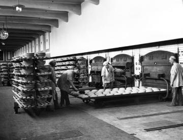 Brotfabrik: Teigstaffel auf dem Großbackblech vor der Einfuhr in den Ofen