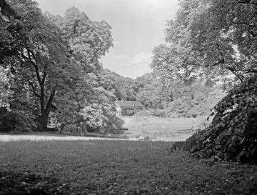 Botanischer Garten, Schlosspark, vor 1945: Partie des 1803-1815 angelegten Gartens