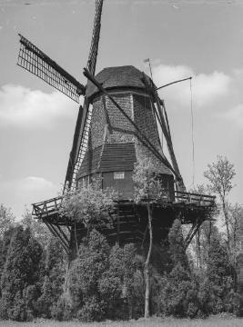 Windmühle in Hoogstede, Grafschaft Bentheim, 1934.