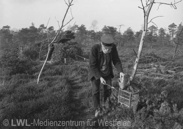 13_889 Slg. Hermann Reichling I : Westfälischer Naturforscher und Naturschutzpionier