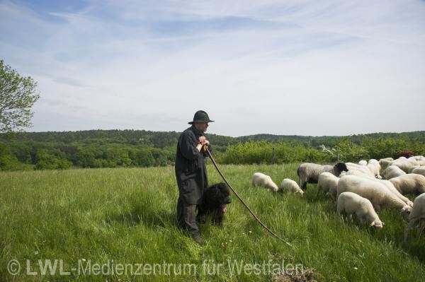 10_12616 Dörfer mit Zukunft: Brochterbeck im Tecklenburger Land