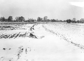 Winterlandschaft bei Westbevern, 1937.