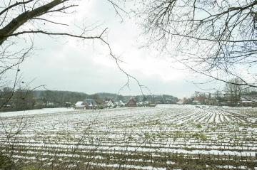 Brochterbeck von Nordwesten - Blick aus Richtung "Zu den Klippen", Februar 2015.