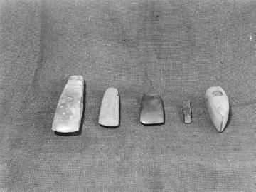Archäologische Ausgrabungen am Dümmersee 1938, Funde aus der jüngeren Steinzeit.