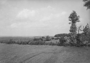 Landschaft in der Umgebung des Dümmersees, Mai 1925.