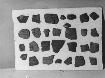 Archäologische Ausgrabungen am Dümmersee 1938, Funde aus der jüngeren Steinzeit.