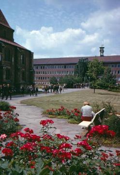 Grünanlage an der St. Petri-Kirche mit Blick auf die Juristische Fakultät der Wilhelms-Universität