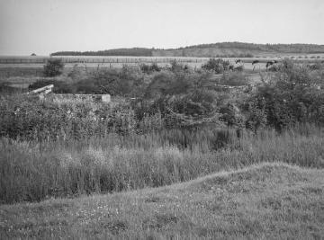 Reste der Wasserburg Geven bei Küntrop, 1934.