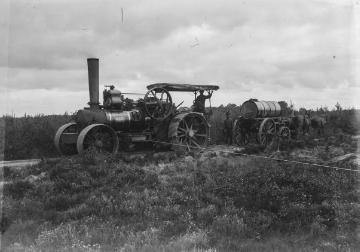 Einsatz eines Dampfpfluges im Andruper Feld bei Lage, 1931.